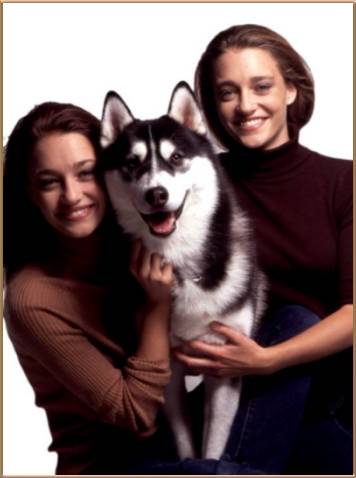 SPIKE ON THE COVER OF DOGS LIFE