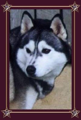 Bonnie