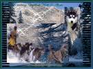 NORTH TO ALASKA SCREENSAVER