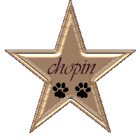 Chopin