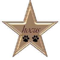 Hocus