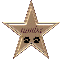 Rumba