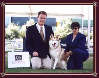 BOB & Best Exhibit in Group Sydney Royal 2001