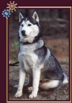 Yukon