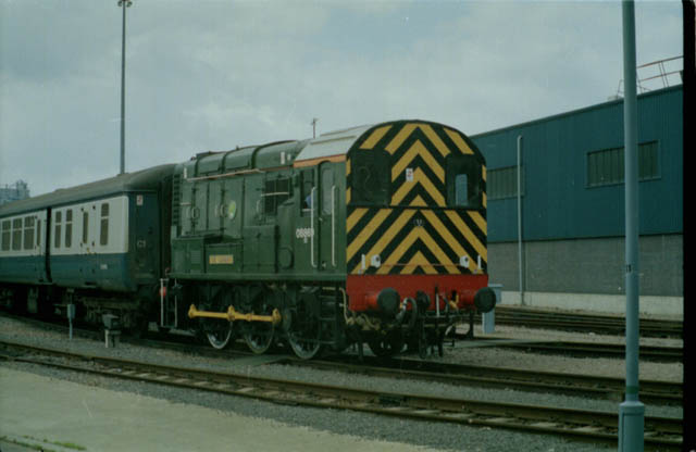 08869 "THE CANARY"