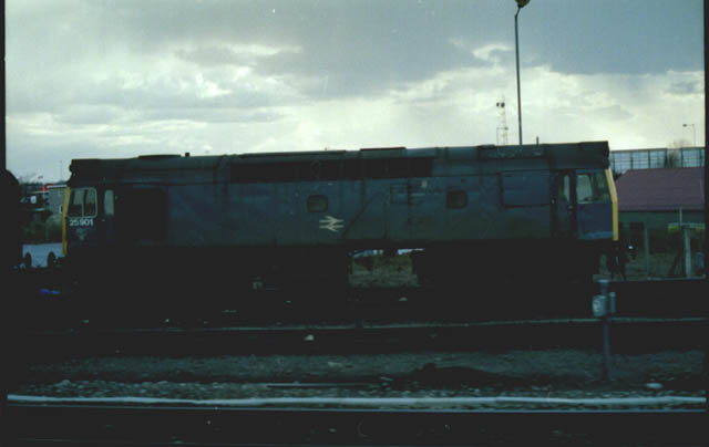 25901