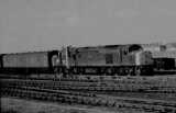 An unidentified class 40