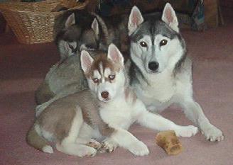 Shayla with her daughter Hershay 8 weeks old