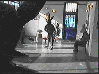 solo exhibition 2000