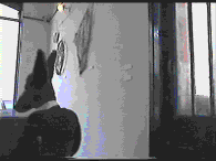 solo exhibition 2000