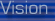 Vision