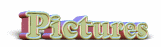 008.gif (3464 bytes)
