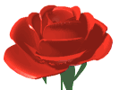 misc13.gif (4060 bytes)