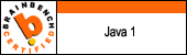 Java Programming