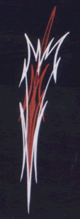 placeholder.gif (342 bytes)