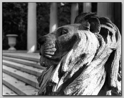 Swope Memorial Lion