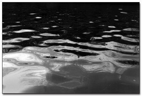 Brush Creek