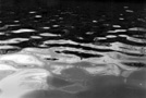 Brush Creek