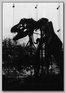 Dinosaur