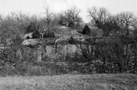 Wyandotte Co, Ks