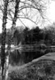 Loose Park Lake