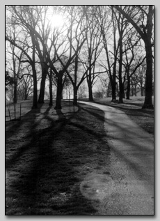 Loose Park Path