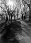 Loose Park Path