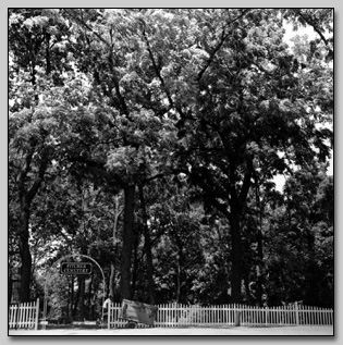 Walnut Grove