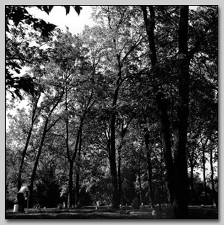Walnut Grove