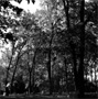 Walnut Grove