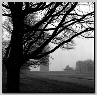 Liberty Memorial in Fog