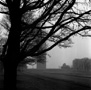 Liberty Memorial Foggy Morning