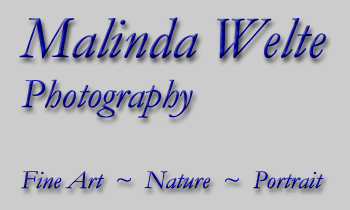 Malinda Welte Photography: Fine Art, Nature, Portrait