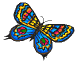 these butterflies here be the sites guardians