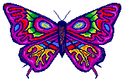 these butterflies here be the sites guardians