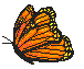 these butterflies be the sites guardians