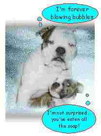 greeting card single with envelope �1.50 inc p+p