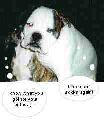 greeting card single with envelope �1.50 inc p+p other breeds available