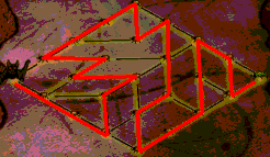 Bat Puzzle Solution