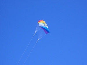 Kite