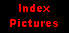 Index Pictures