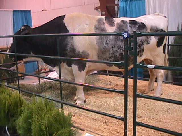Aerostar