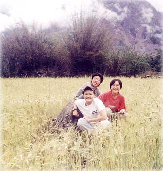 Picture in the yellow field