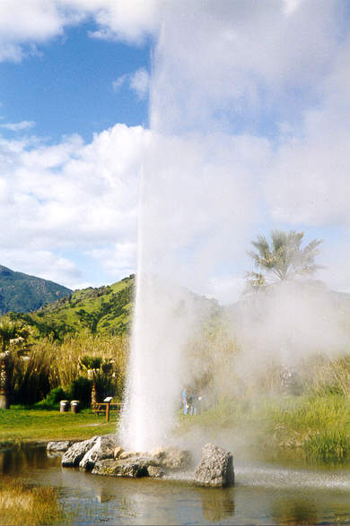 Gaizer_Napa_Valley.jpg (32209 bytes)
