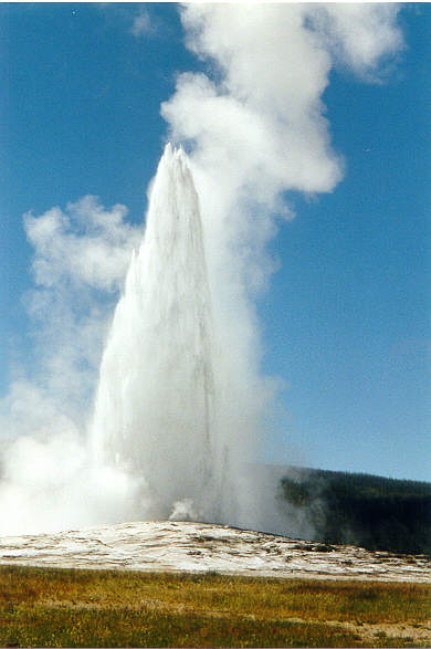 Gaizer_Yellowstone.jpg (33885 bytes)