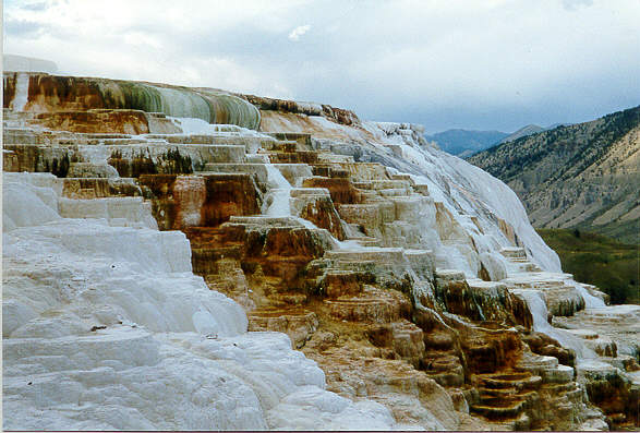 Yellowstone2.jpg (57059 bytes)