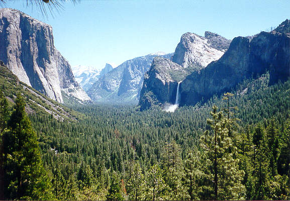 Yosemity1.jpg (66961 bytes)