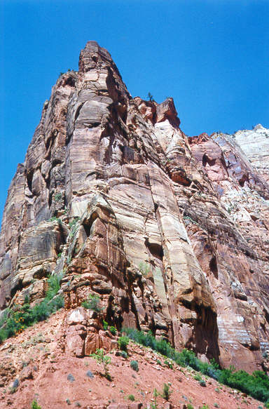 ZION2.jpg (63003 bytes)