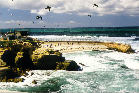 LAJOLLA2.jpg (55406 bytes)