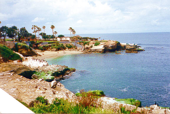 LAJOLLA3.jpg (69971 bytes)